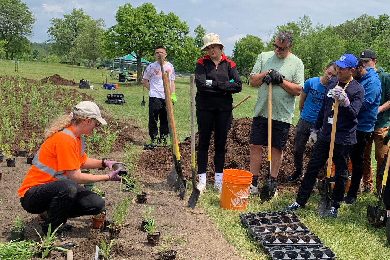 A group of Aviva employees are participating in a tree planting activity. One person is kneeling and demonstrating what to do. Several other individuals are standing, holding shovels and watching the process.