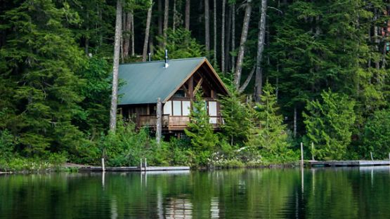 A log cabin by the lake surrounded by trees