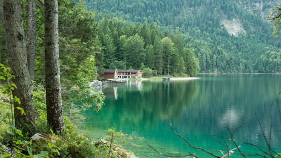 A stately cottage sitting alongside a serene lake