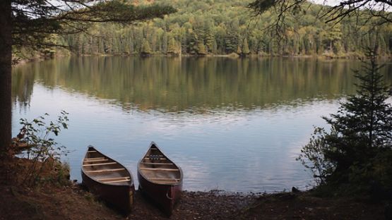 Two canoes sitting along the shores of a lake