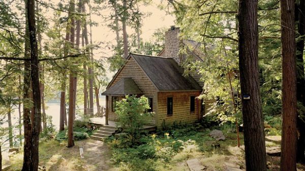 A cabin hidden in the trees by the lake